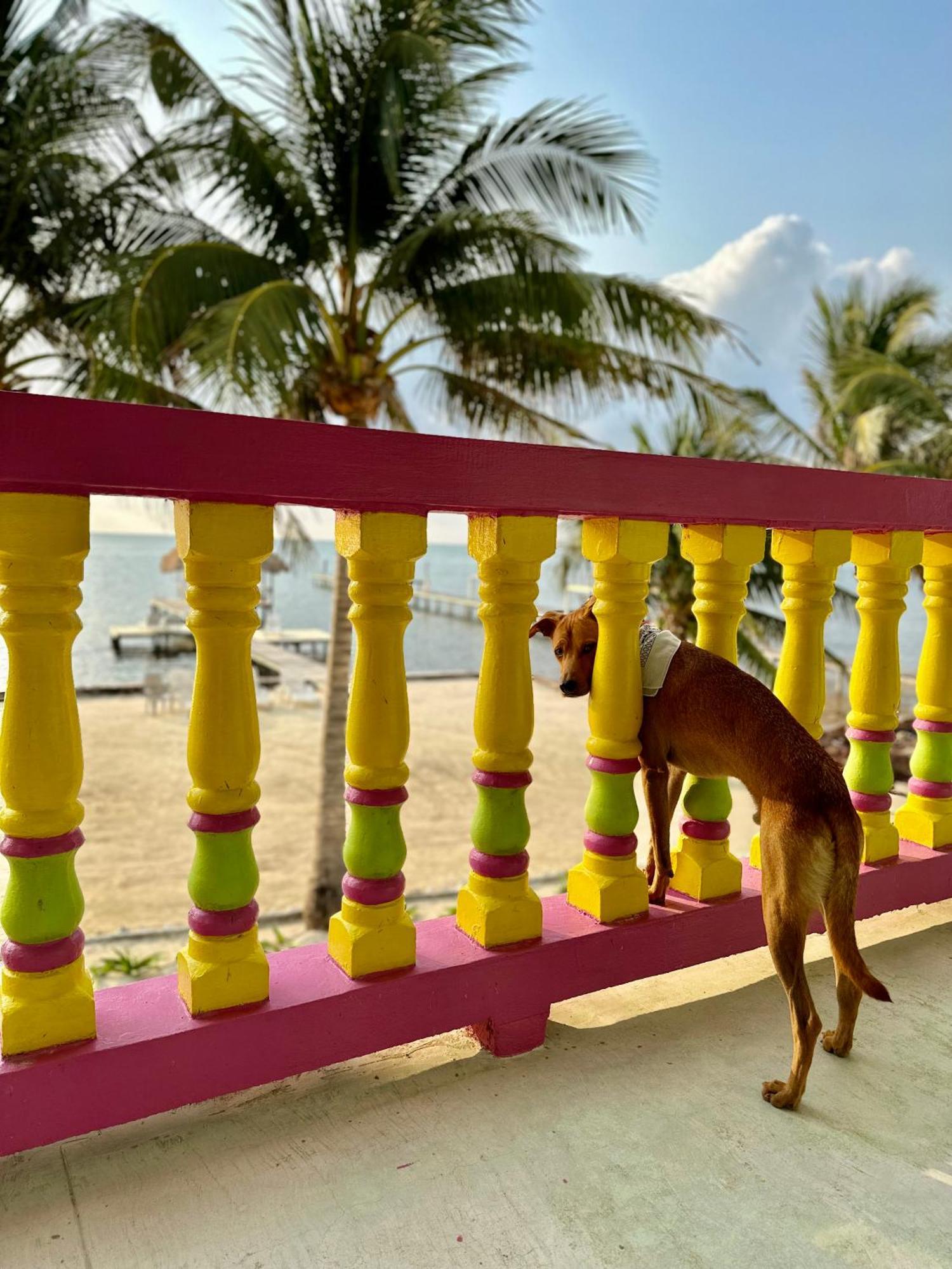 Barefoot Beach Belize Кей-Колкер Екстер'єр фото