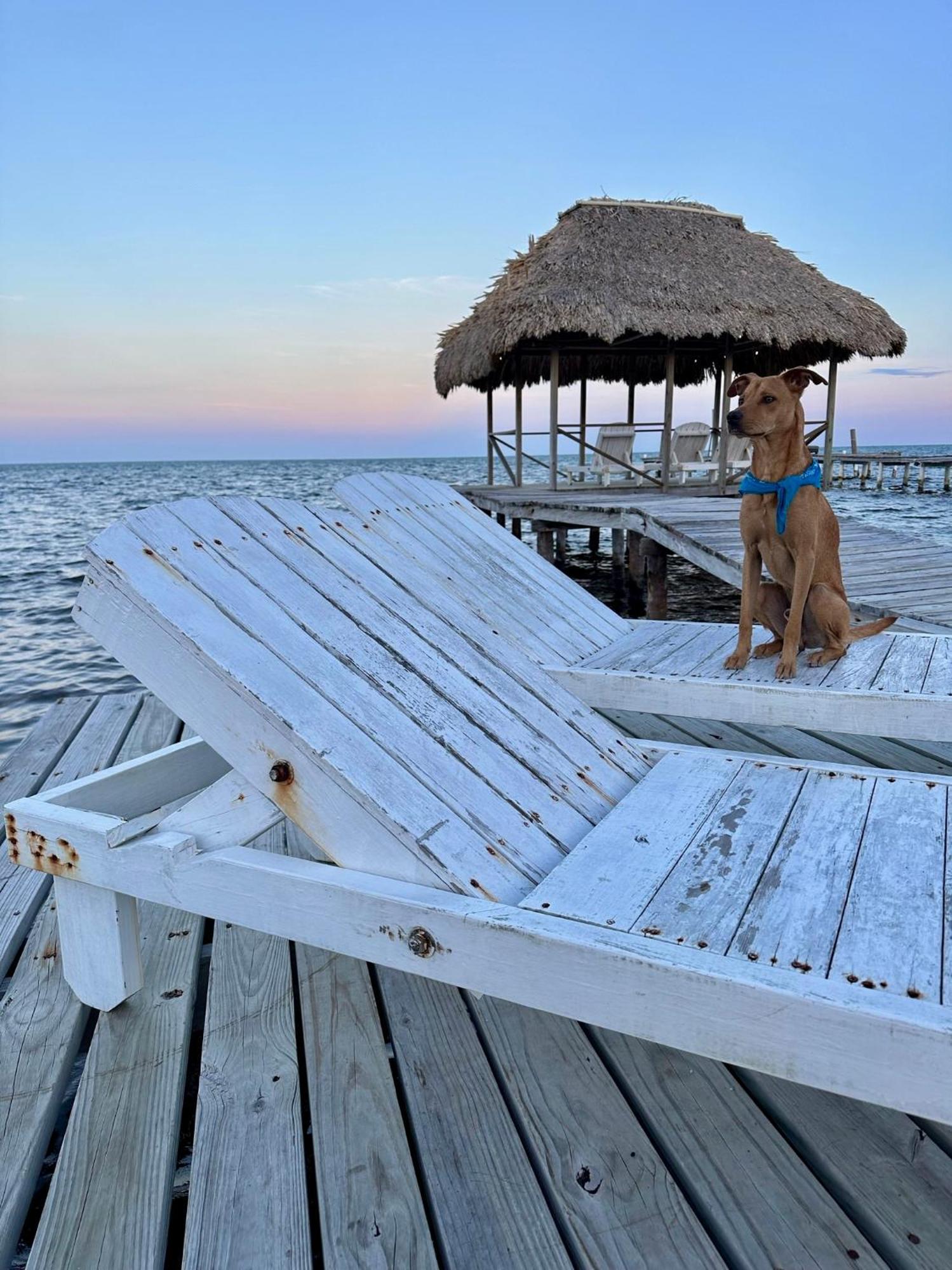 Barefoot Beach Belize Кей-Колкер Екстер'єр фото
